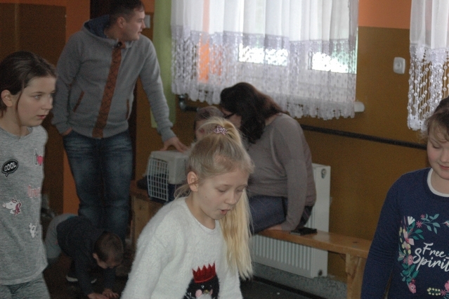 Koło Gospodyń Wiejskich Międzyleś - Choinka